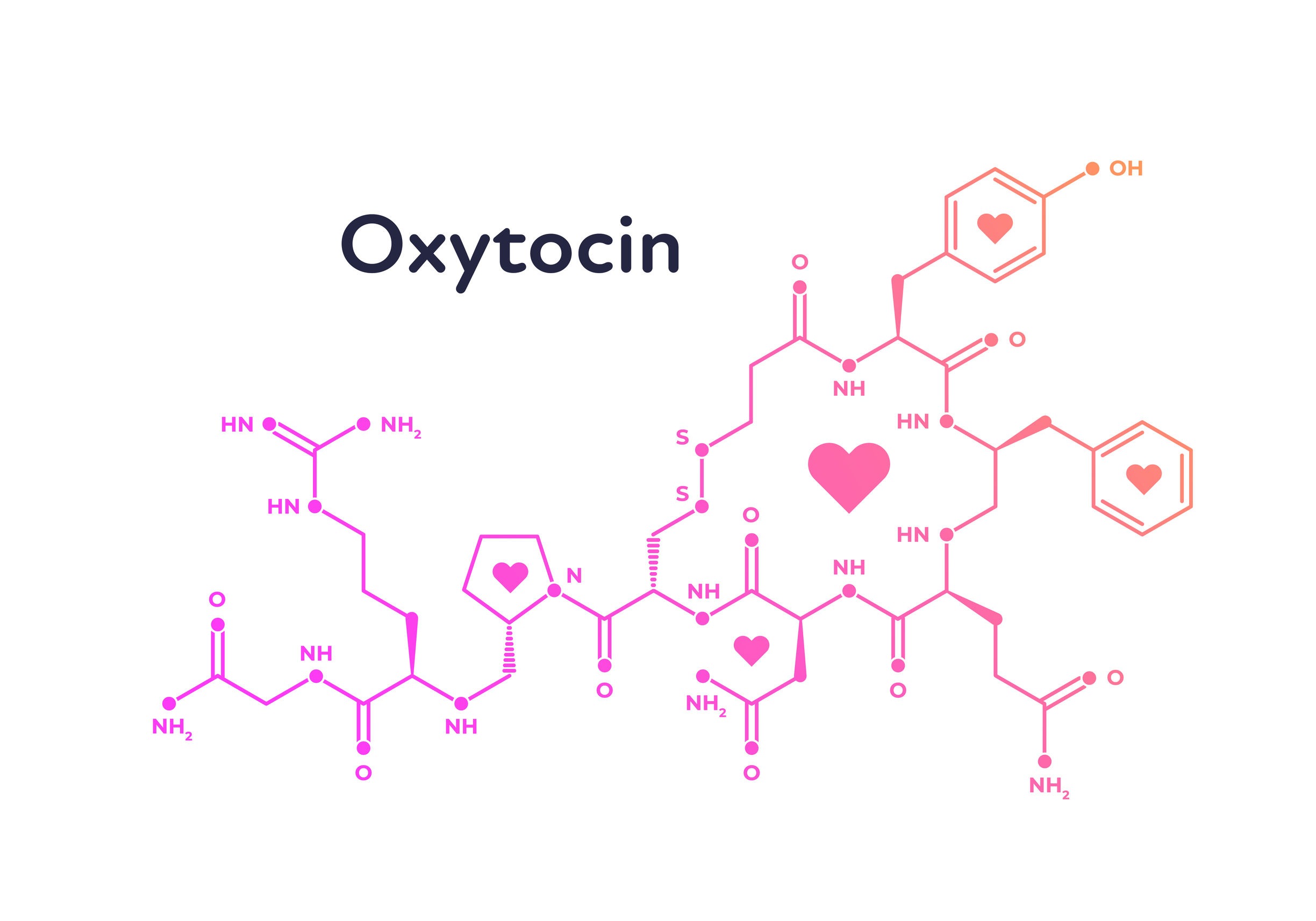 oxitocina