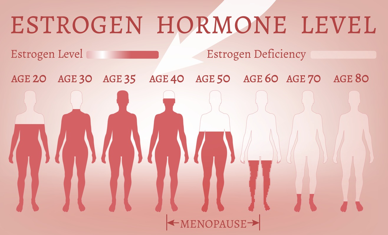7 semne că ai prea mult estrogen în organism